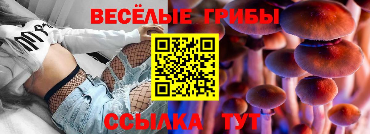 Псилоцибиновые грибы Psilocybe  Вход с VPN  Клин  Псилоцибиновые грибы Cubensis 